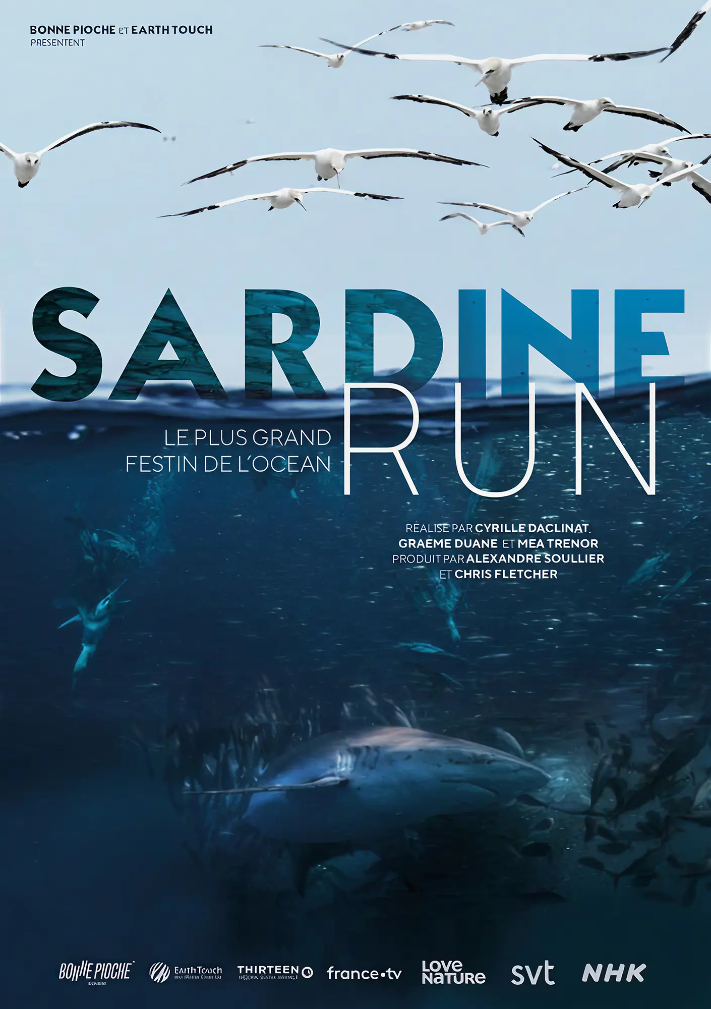 Sardine Run, the Ocean's Greatest Feast